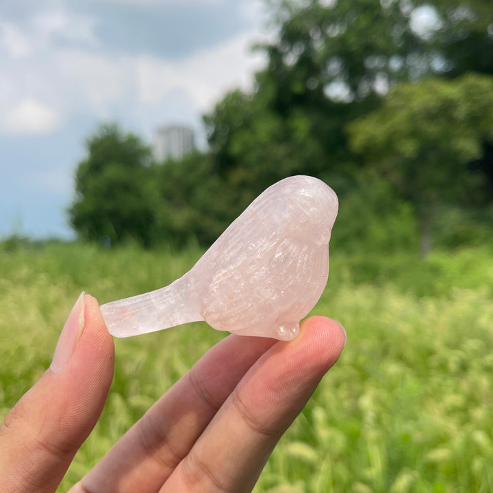 Natural Crystal Carving Cute Rose Quartz Bird