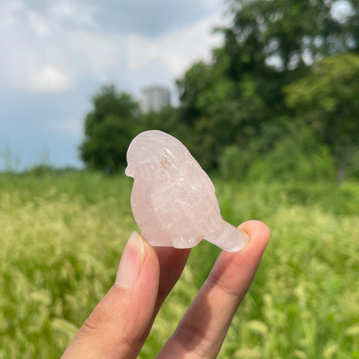 Natural Crystal Carving Cute Rose Quartz Bird