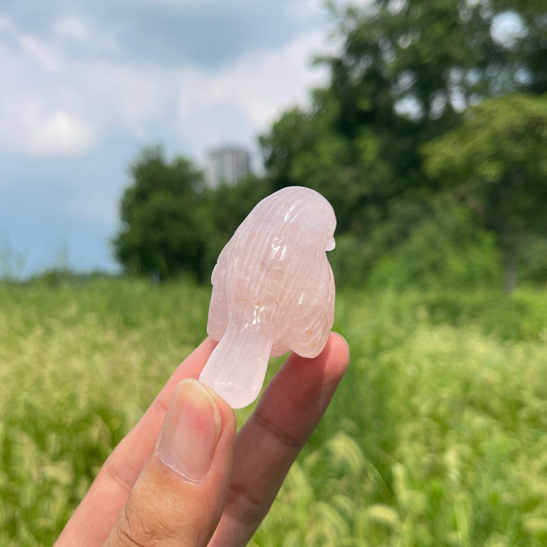 Natural Crystal Carving Cute Rose Quartz Bird