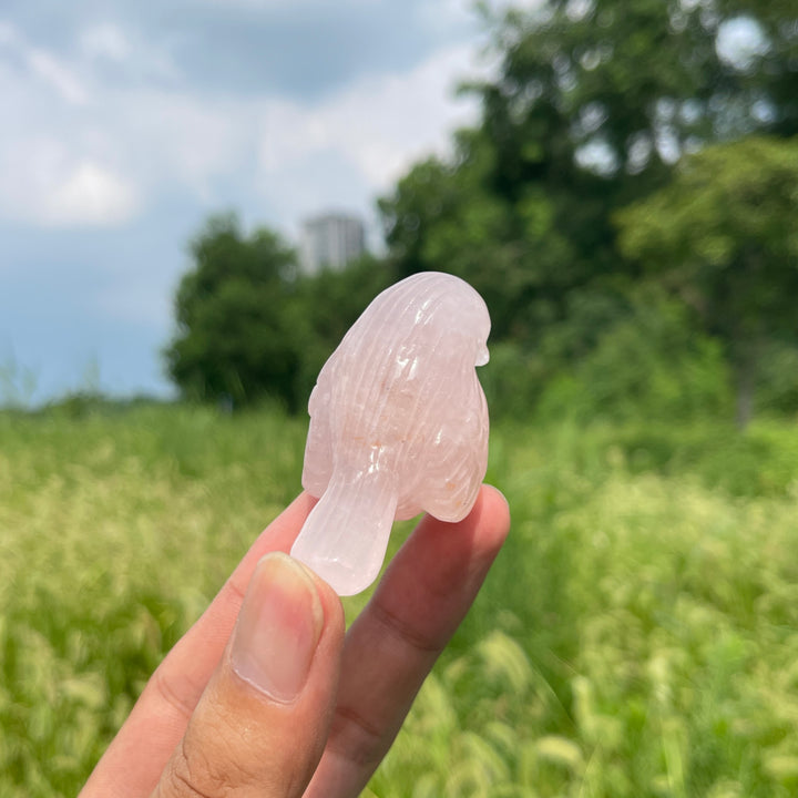 Natural Crystal Carving Cute Rose Quartz Bird
