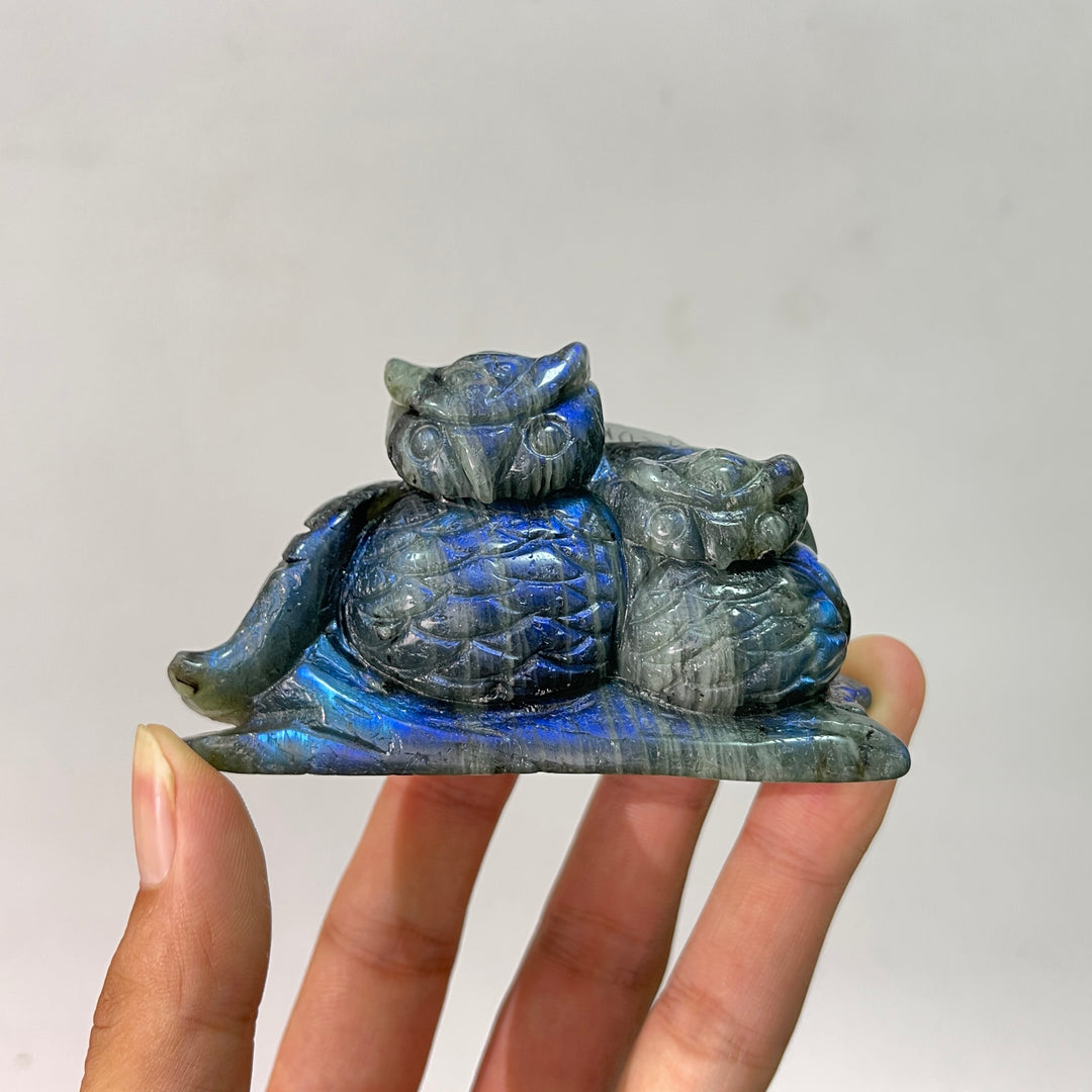Unique,Natural Crystal Labradorite Animal Carvings