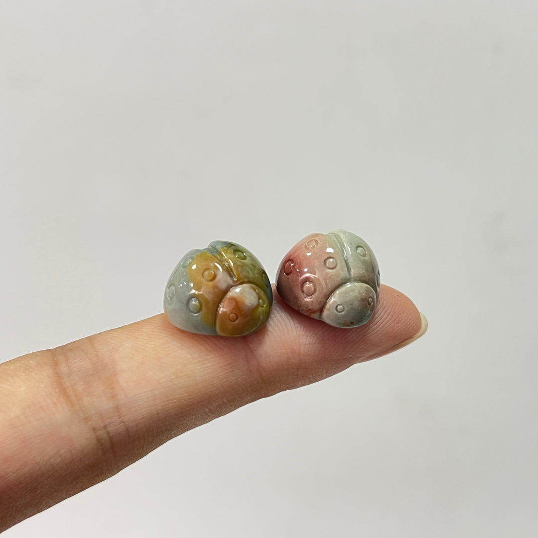 Natural Crystal Carving Alashan Agate Ladybug