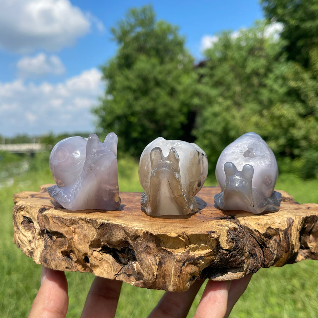 A Slightly Imperfect Natural Crystal Agate Geode Snail Carving