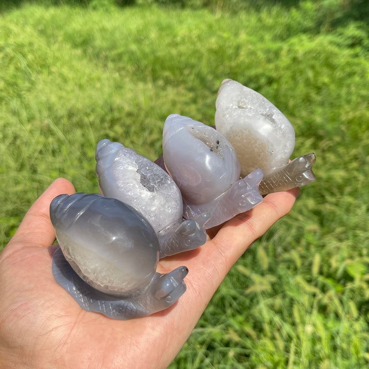 A Slightly Imperfect Natural Crystal Agate Geode Snail Carving