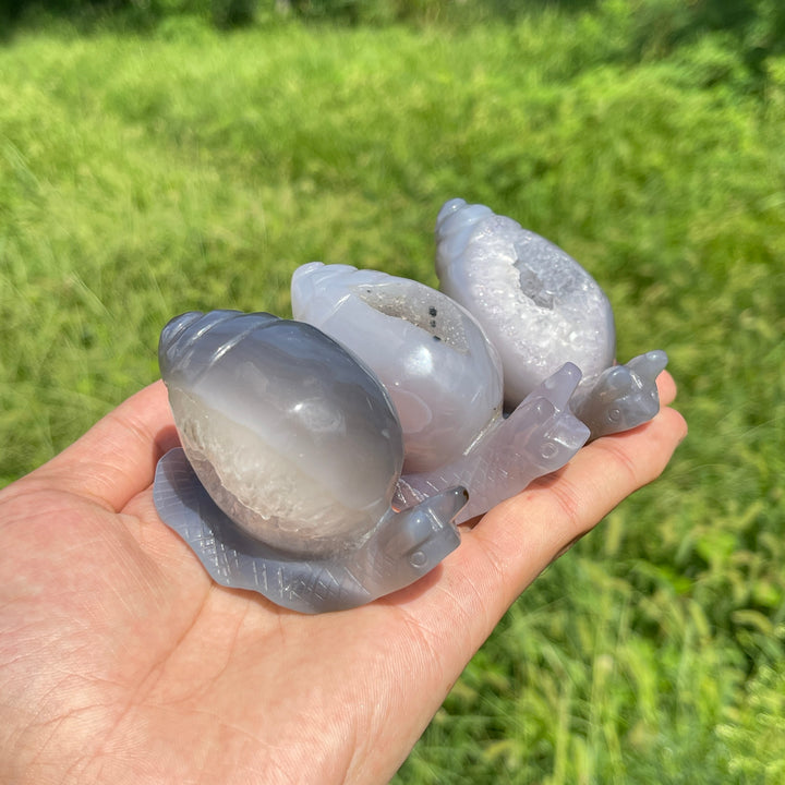 A Slightly Imperfect Natural Crystal Agate Geode Snail Carving