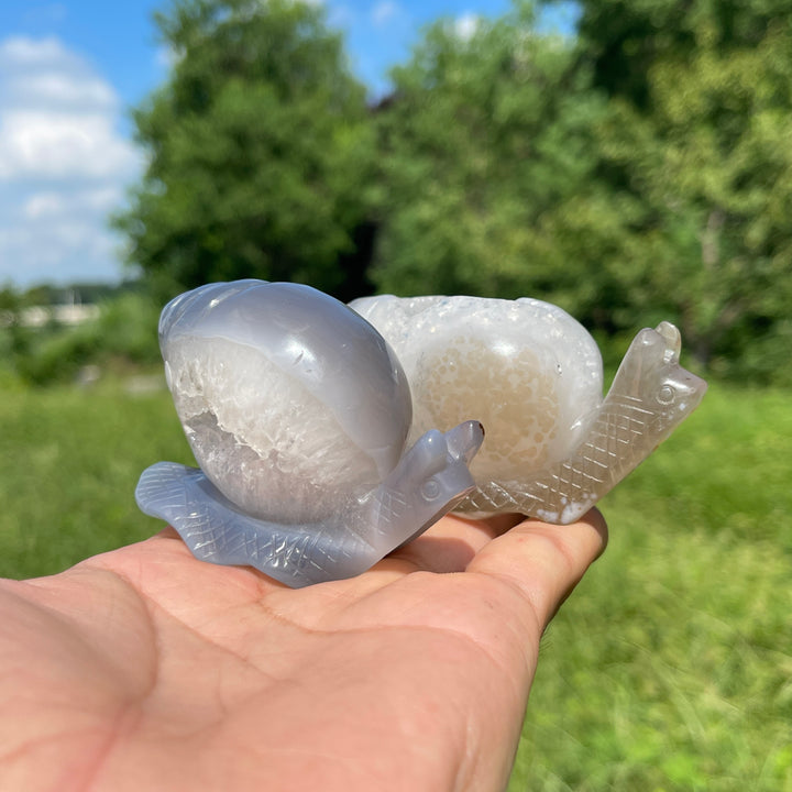 A Slightly Imperfect Natural Crystal Agate Geode Snail Carving