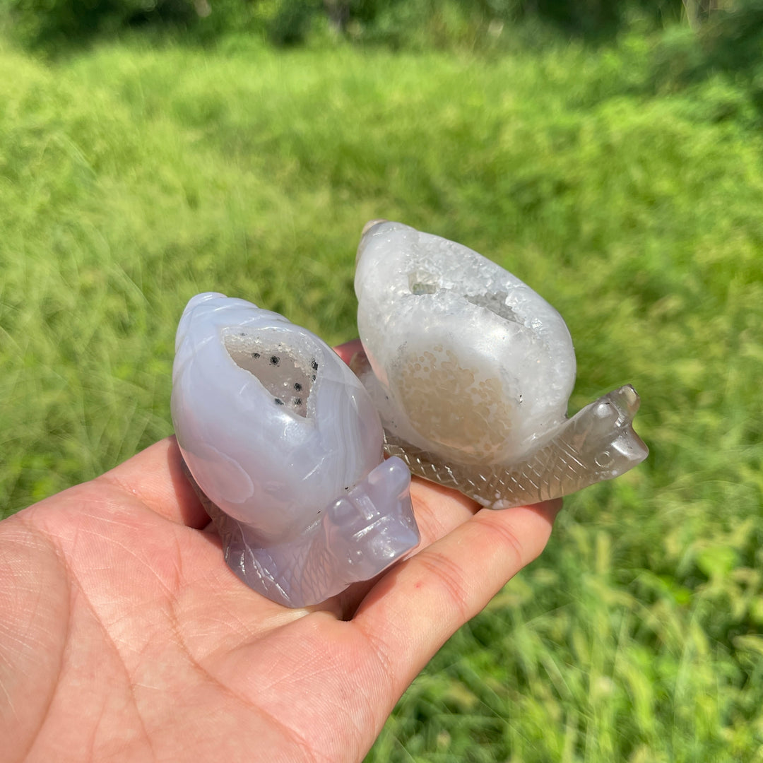 A Slightly Imperfect Natural Crystal Agate Geode Snail Carving