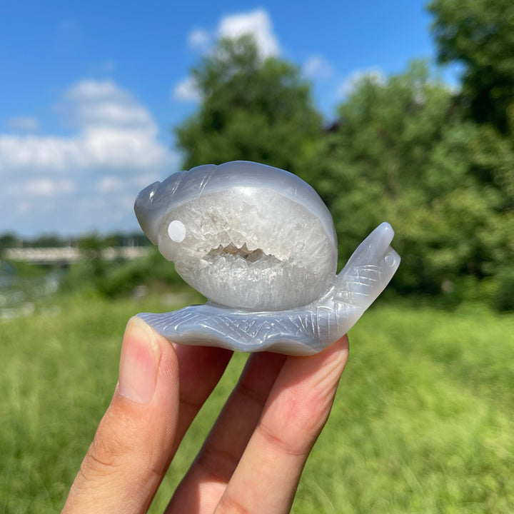 A Slightly Imperfect Natural Crystal Agate Geode Snail Carving