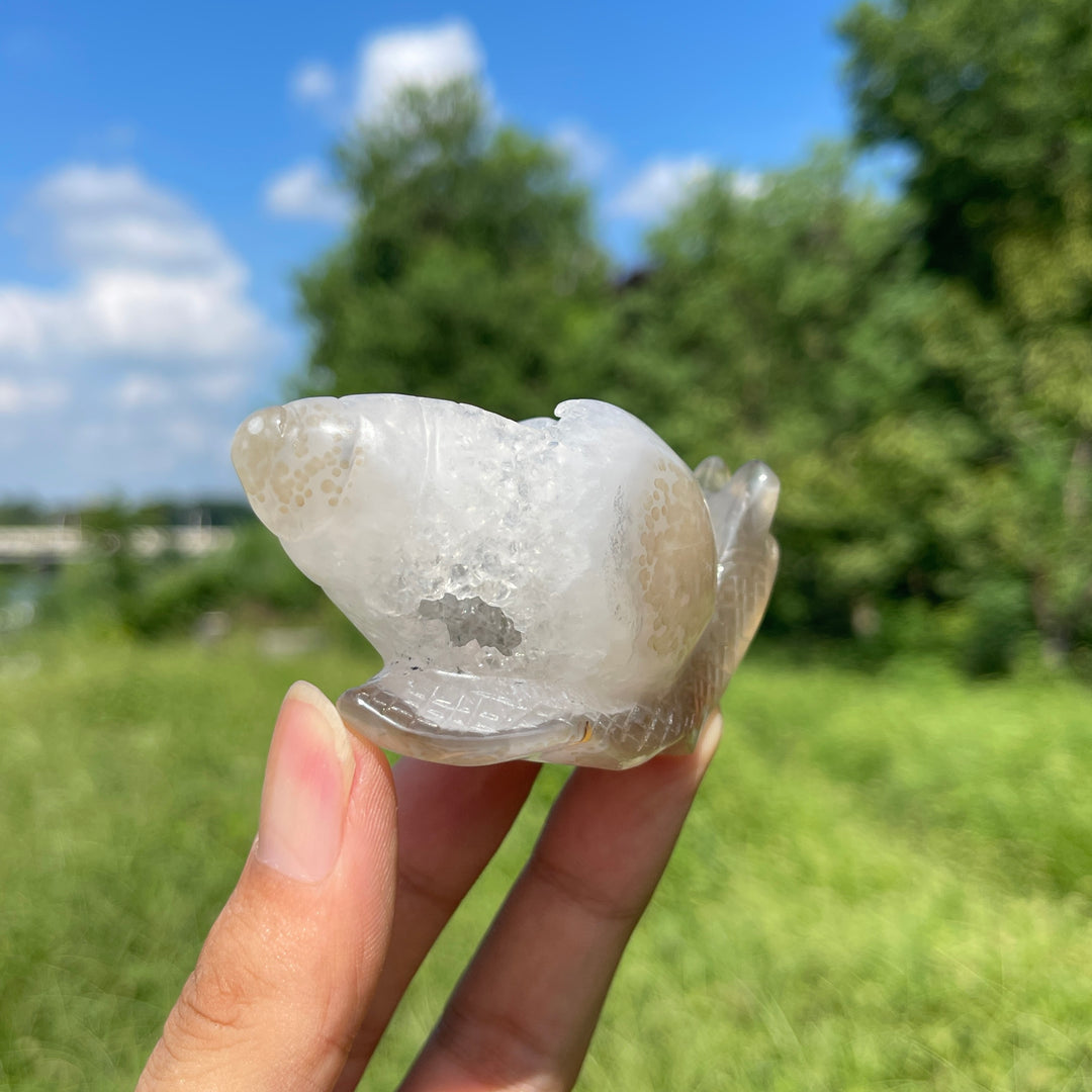 A Slightly Imperfect Natural Crystal Agate Geode Snail Carving