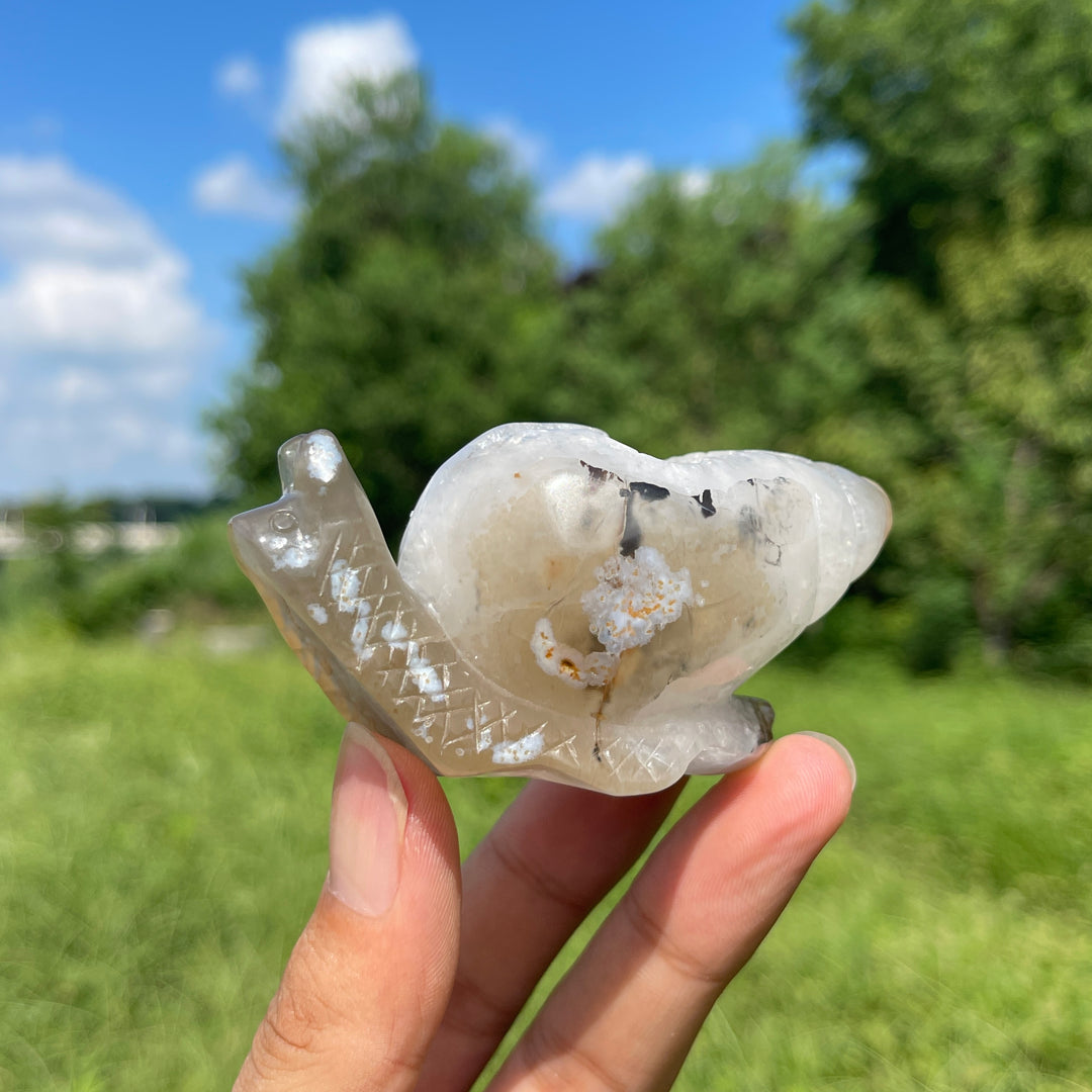 A Slightly Imperfect Natural Crystal Agate Geode Snail Carving