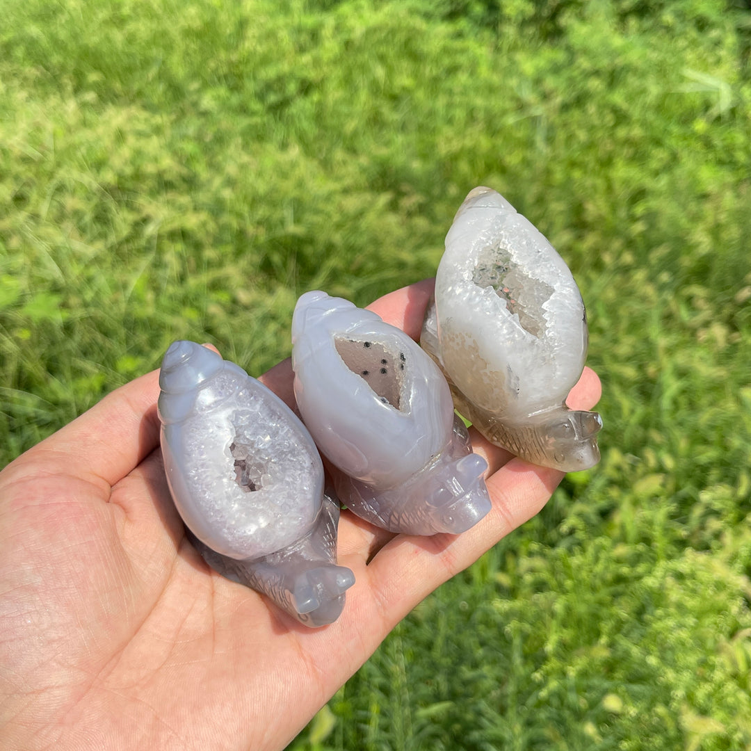 A Slightly Imperfect Natural Crystal Agate Geode Snail Carving