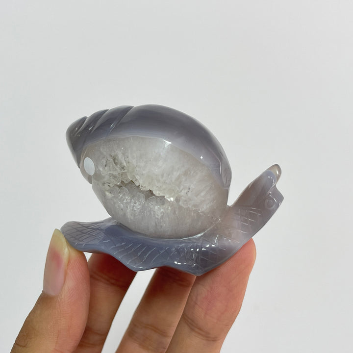 A Slightly Imperfect Natural Crystal Agate Geode Snail Carving