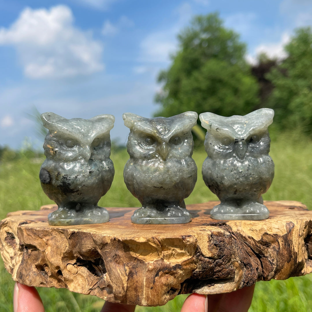 Natural Crystal Chubby Owl Carving