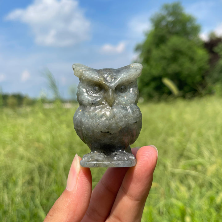 Natural Crystal Chubby Owl Carving