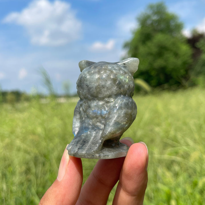 Natural Crystal Chubby Owl Carving