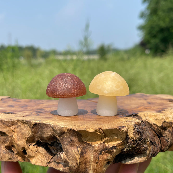 Natural Crystal Carving Mixed Material Mushroom