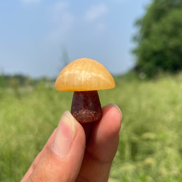 Natural Crystal Carving Mixed Material Mushroom