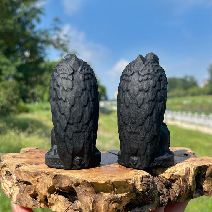 Natural Crystal Carving Black Obsidian Vulture