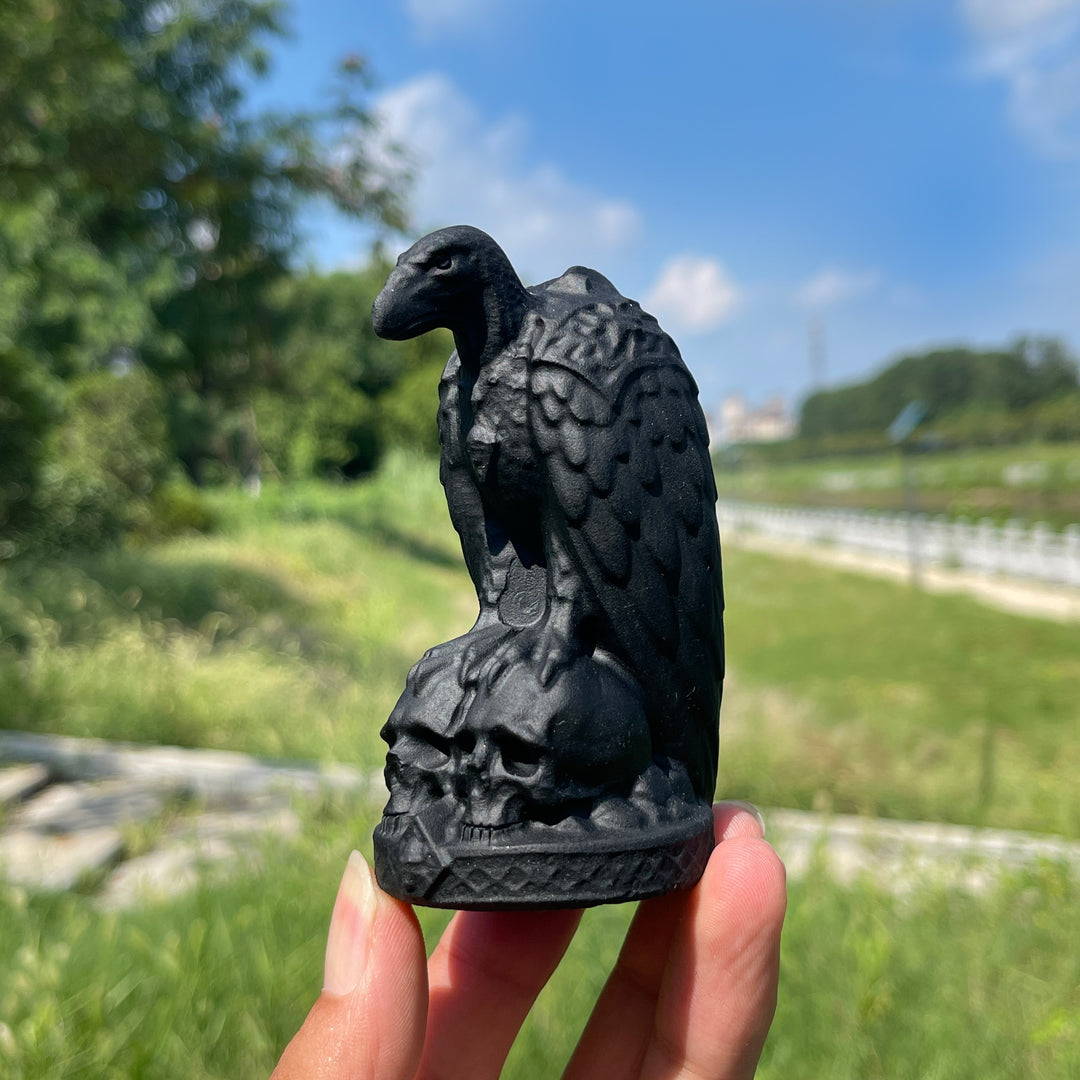 Natural Crystal Carving Black Obsidian Vulture
