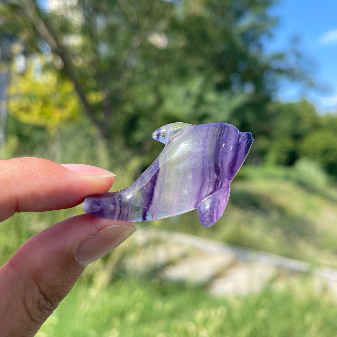 Natural Crystal Playful Dolphin Carving