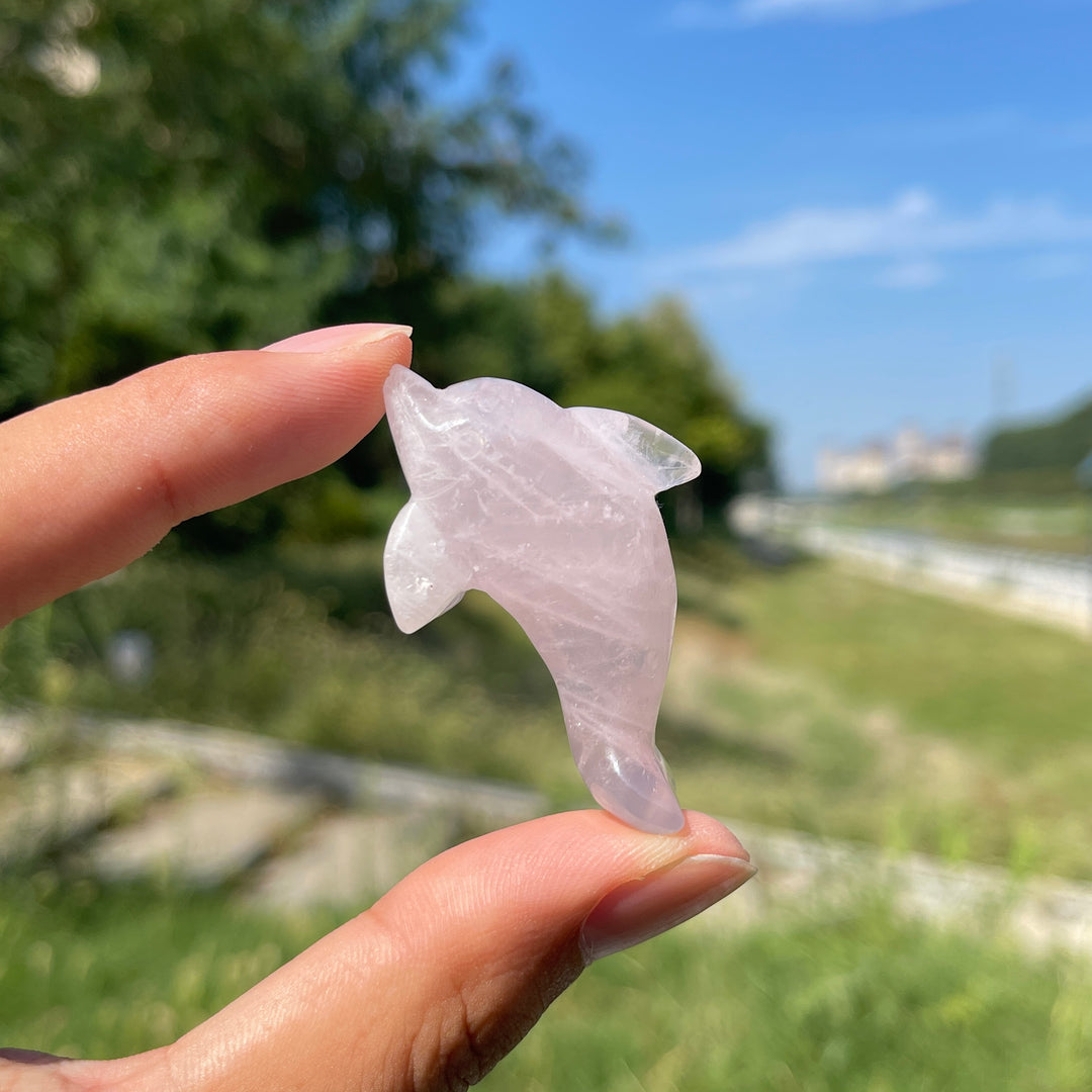 Natural Crystal Playful Dolphin Carving