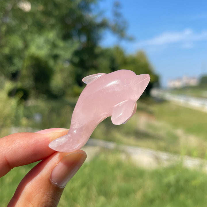 Natural Crystal Playful Dolphin Carving