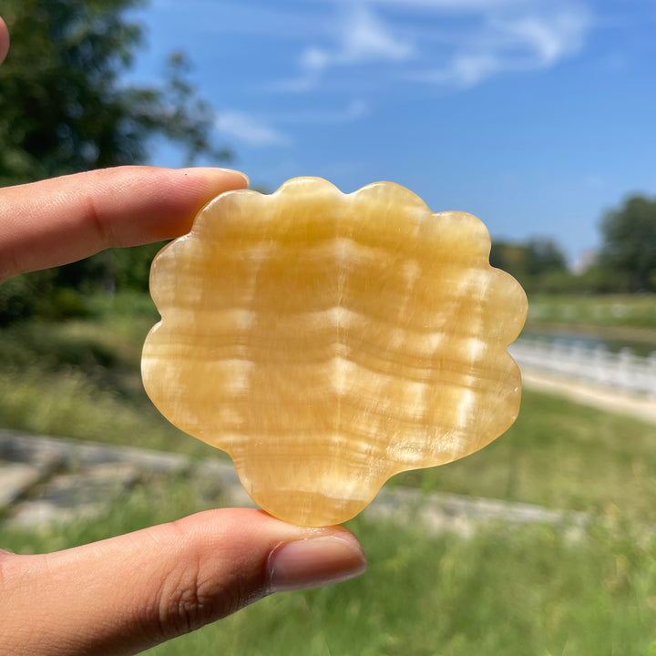 Natural Crystal Yellow Calcite Shell Bowl