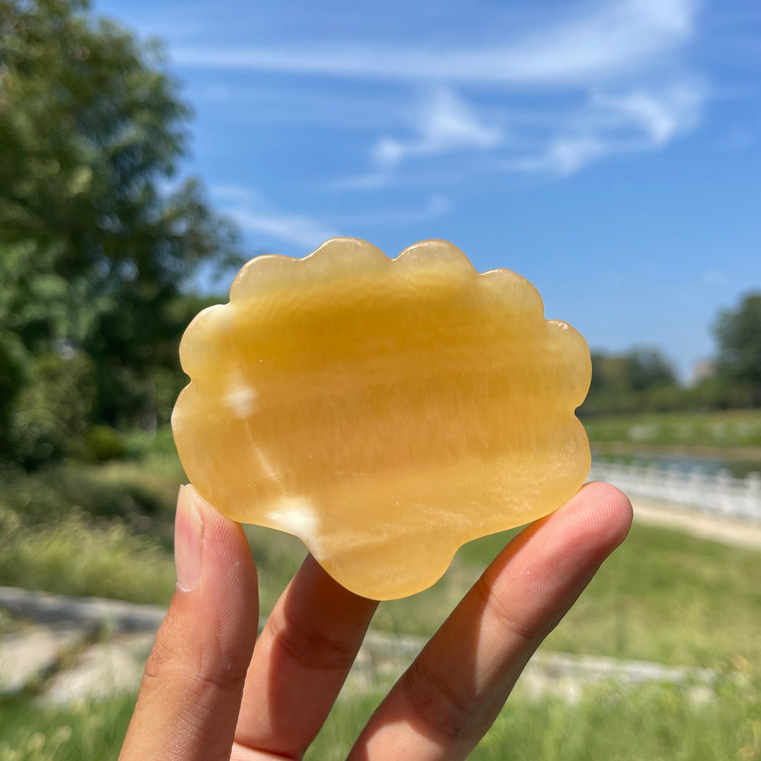 Natural Crystal Yellow Calcite Shell Bowl