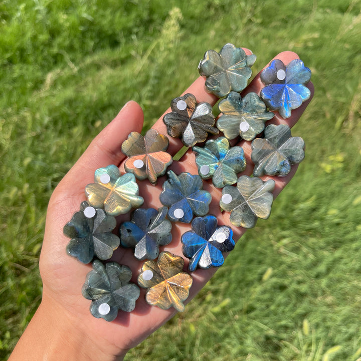 A Slightly Imperfect Natural Labradorite Four Leaf Clover Carving