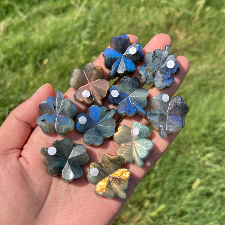 A Slightly Imperfect Natural Labradorite Four Leaf Clover Carving