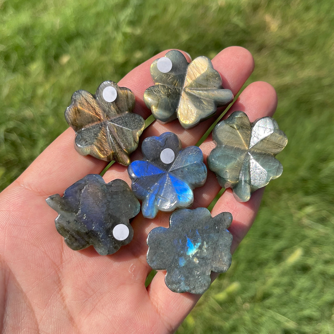 A Slightly Imperfect Natural Labradorite Four Leaf Clover Carving