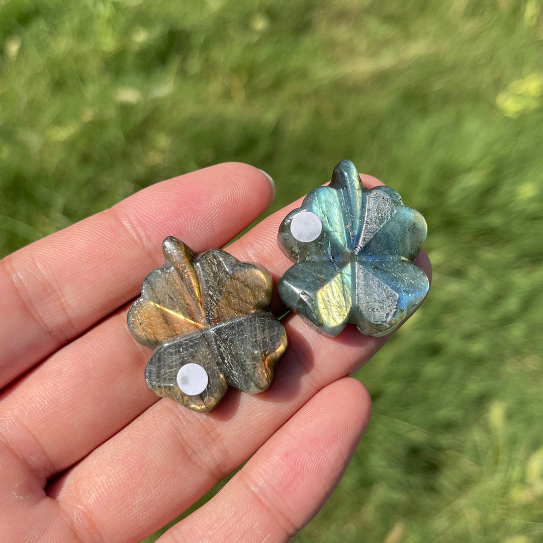 A Slightly Imperfect Natural Labradorite Four Leaf Clover Carving