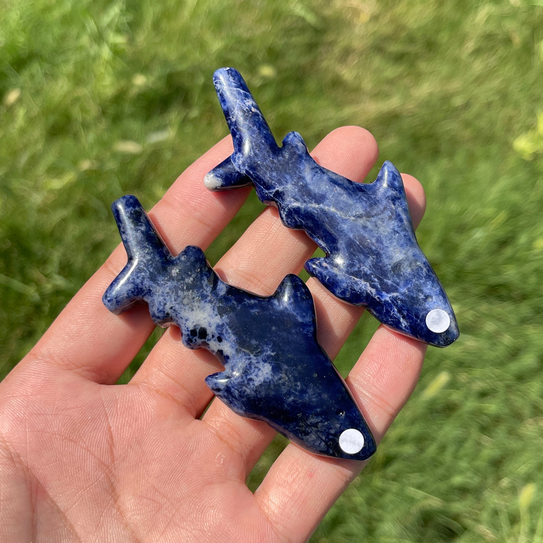 A Slightly Imperfect Natural Crystal Carving Sleek Bodied Fish