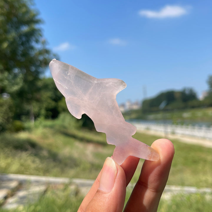 A Slightly Imperfect Natural Crystal Carving Sleek Bodied Fish