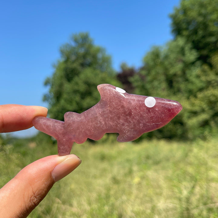A Slightly Imperfect Natural Crystal Carving Sleek Bodied Fish