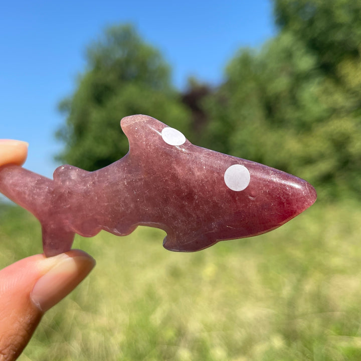 A Slightly Imperfect Natural Crystal Carving Sleek Bodied Fish