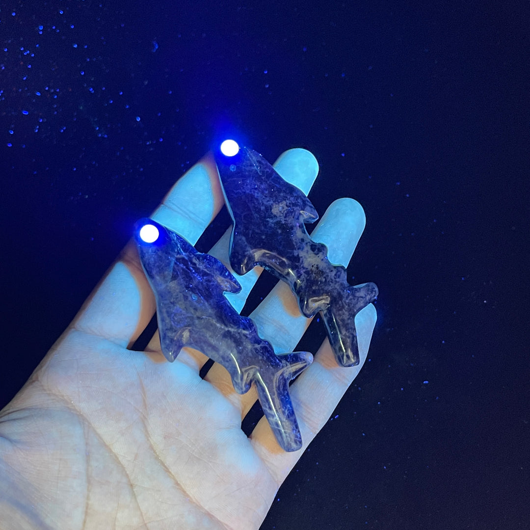 A Slightly Imperfect Natural Crystal Carving Sleek Bodied Fish