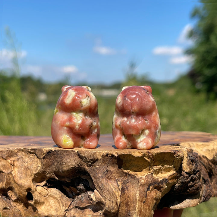 Natural Crystal Capybara With Ingot