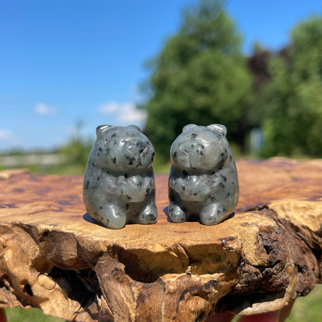 Natural Crystal Capybara With Ingot