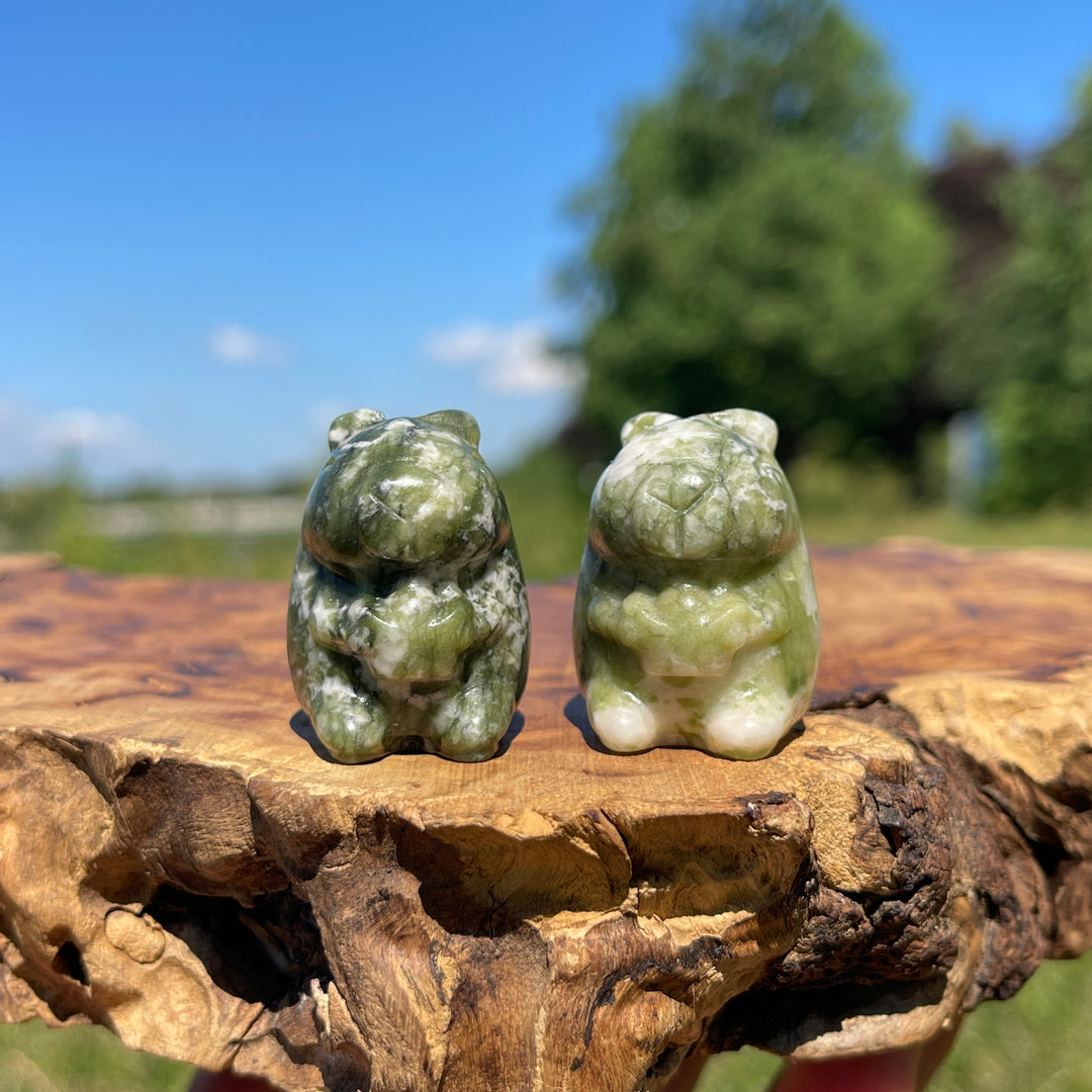 Natural Crystal Capybara With Ingot