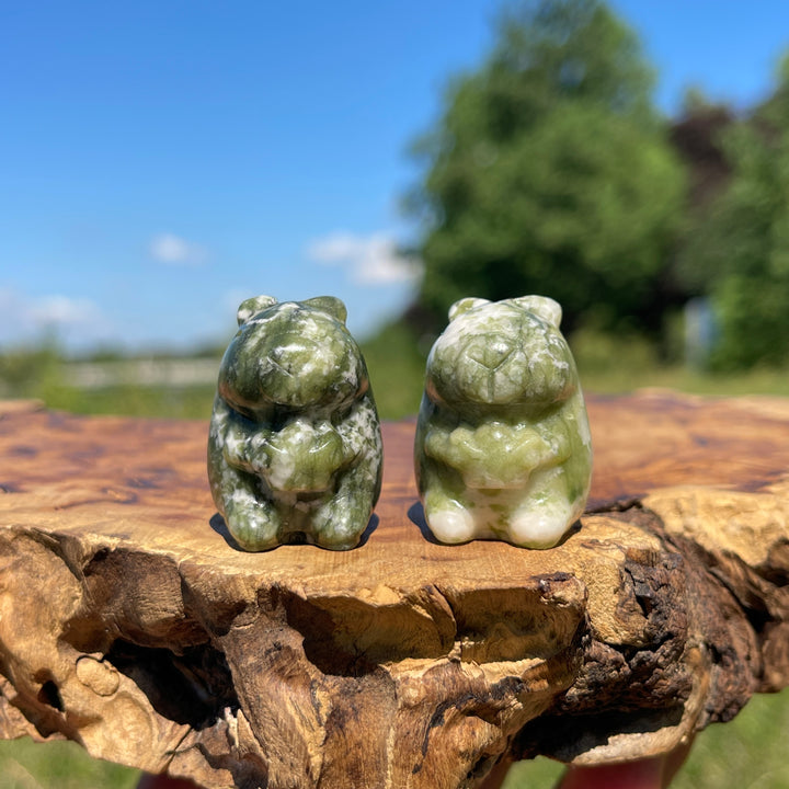 Natural Crystal Capybara With Ingot