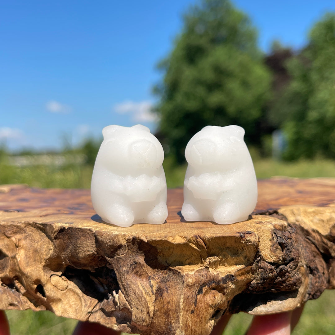 Natural Crystal Capybara With Ingot