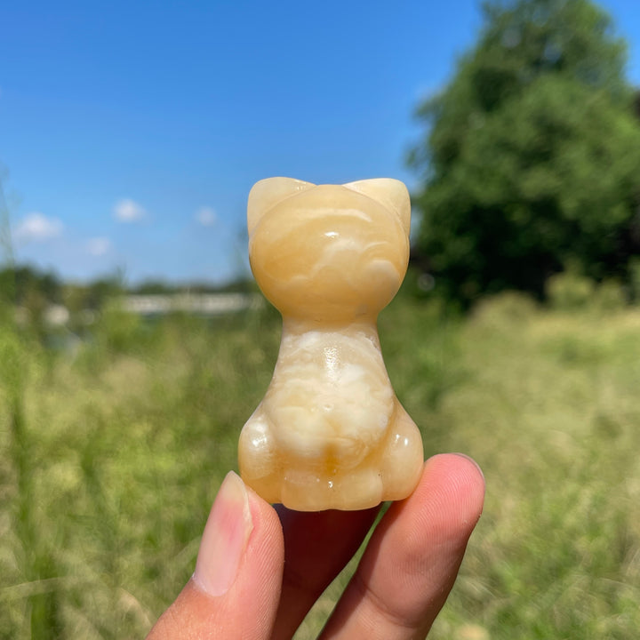 Natural Crystal Carving Faceless Cat