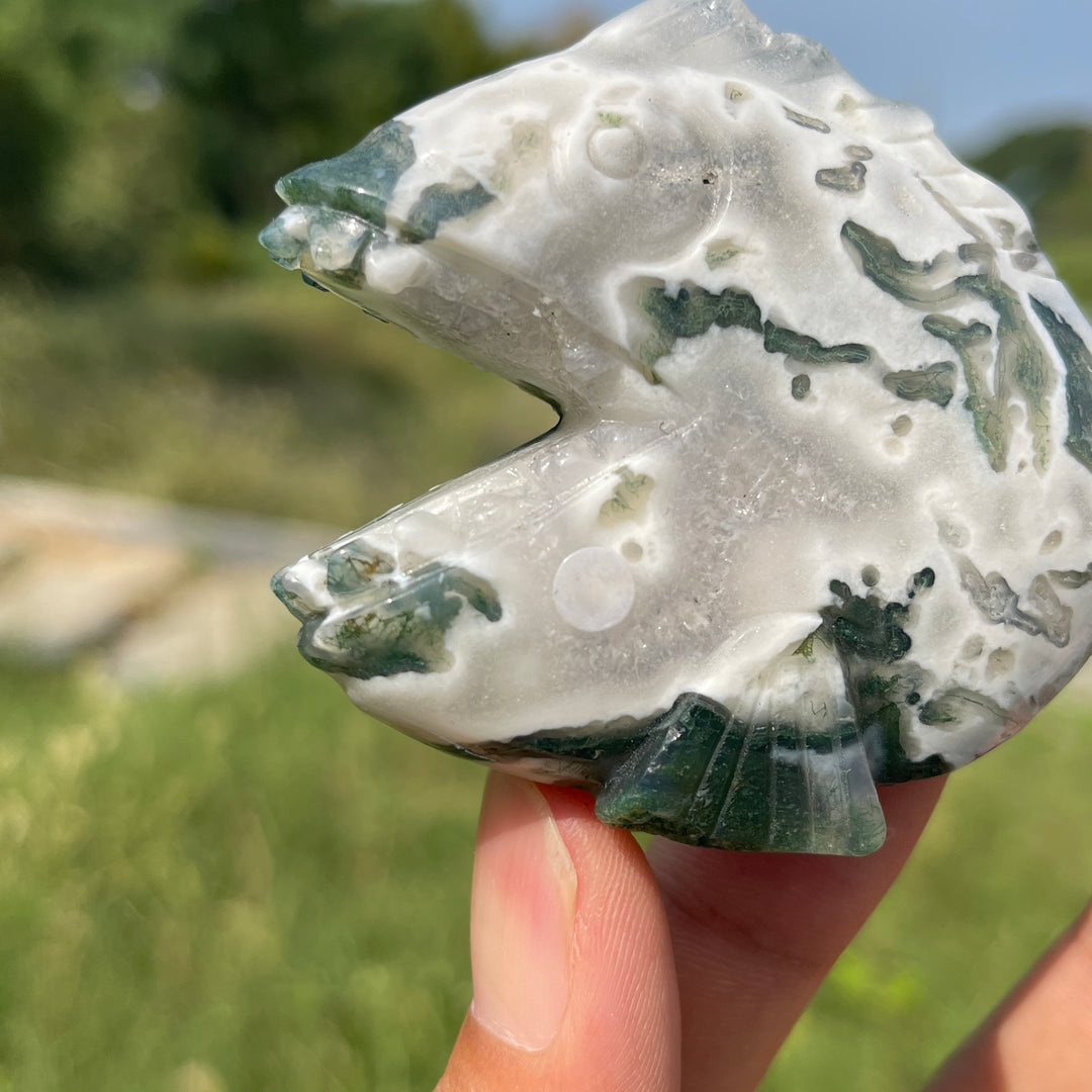 A Slightly Imperfect Natural Crystal Carving Piranha