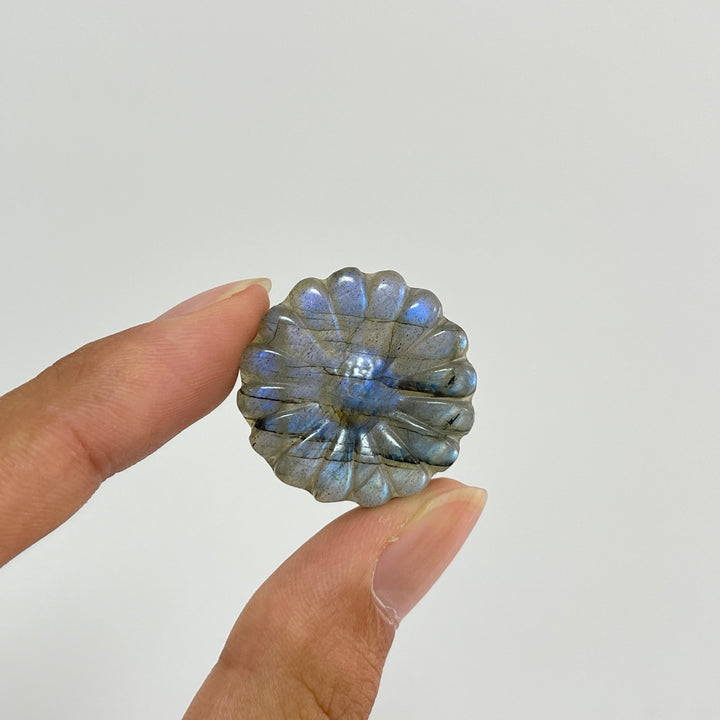 Natural Crystal Carving Labradorite Daisy