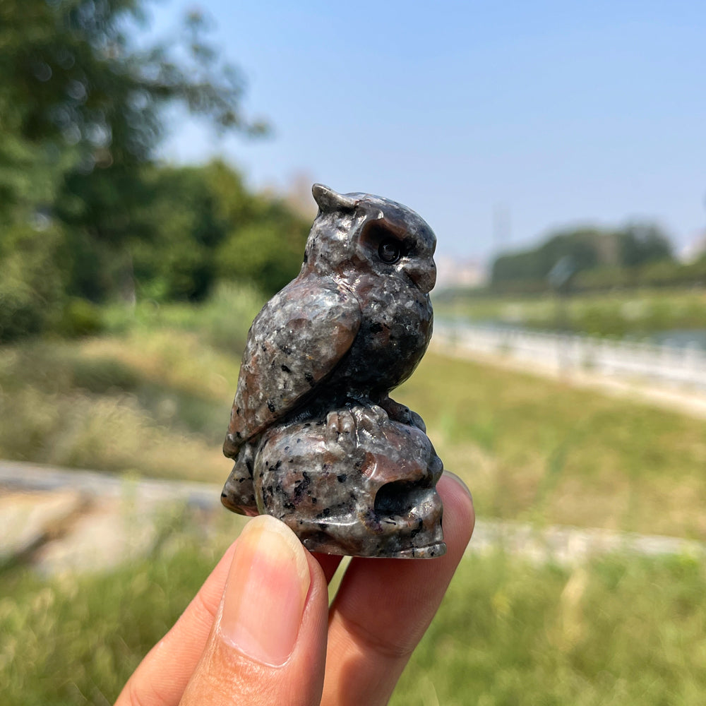 Natural Crystal Owl-On-Skull Carving