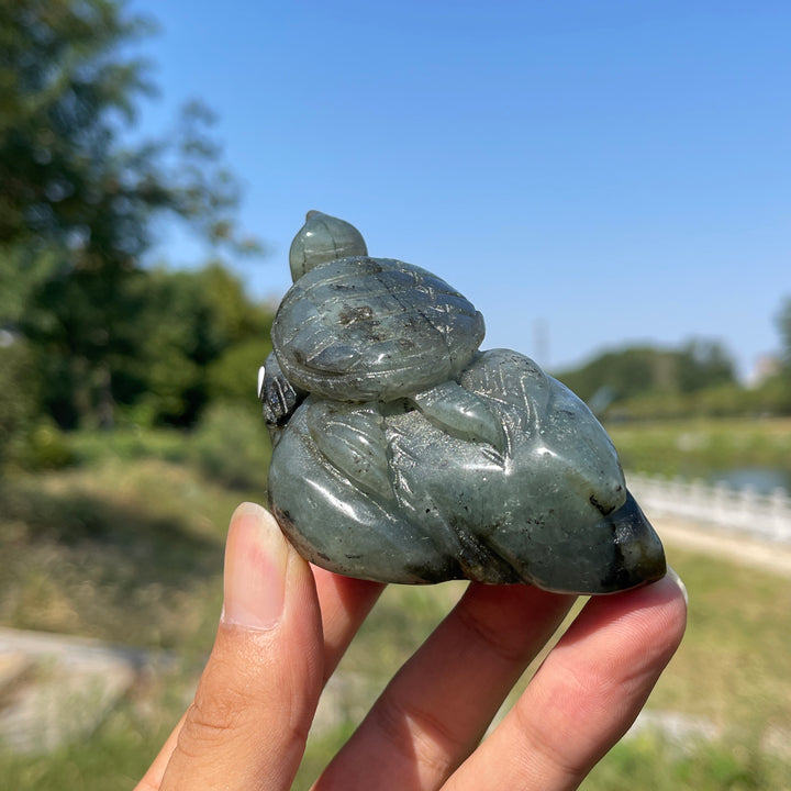 Unique,A Slightly Imperfect Natural Crystal Labradorite Sea Turtle