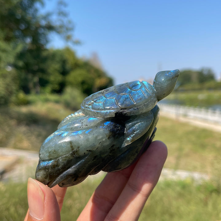 Unique,A Slightly Imperfect Natural Crystal Labradorite Sea Turtle