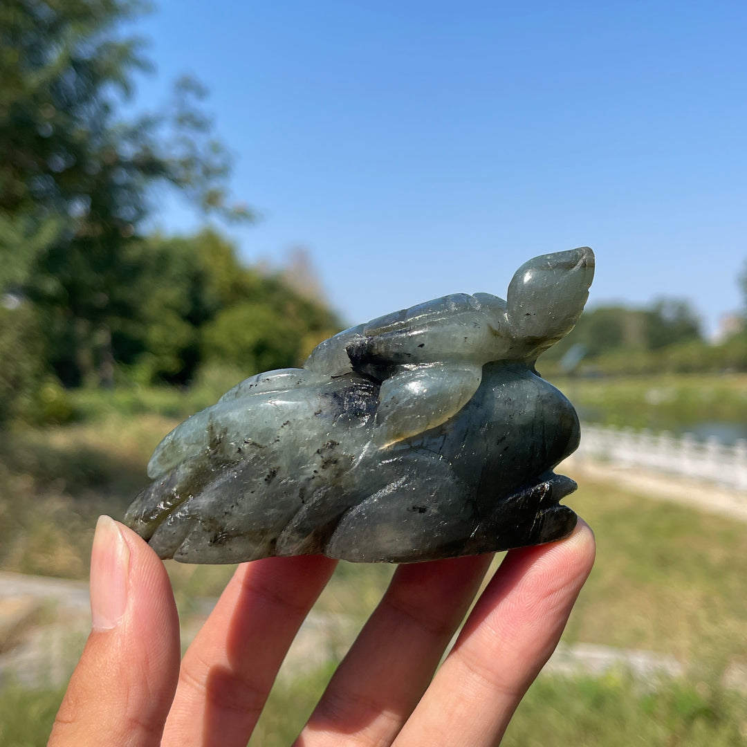 Unique,A Slightly Imperfect Natural Crystal Labradorite Sea Turtle