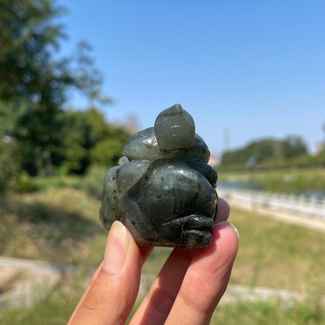 Unique,A Slightly Imperfect Natural Crystal Labradorite Sea Turtle